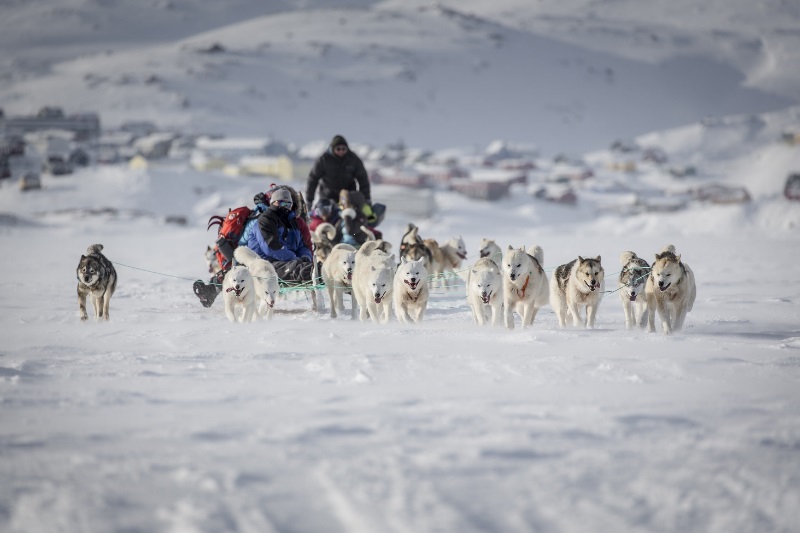 Greenland (19)